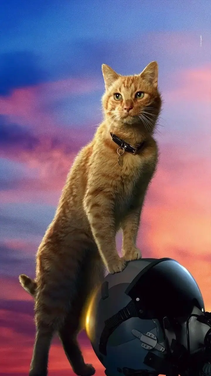 Captain Marvel Goose