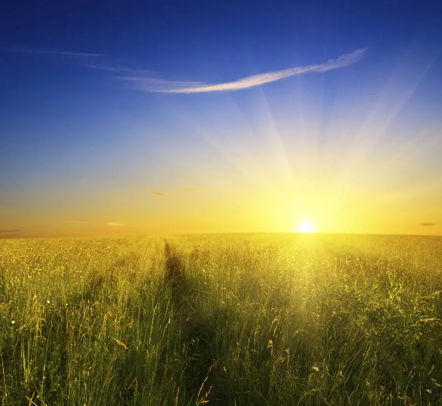 Beautiful Summer Photo with High Quality for WhatsApp Profile