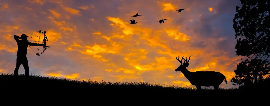 Deer hunting image at sunset with bow and arrow