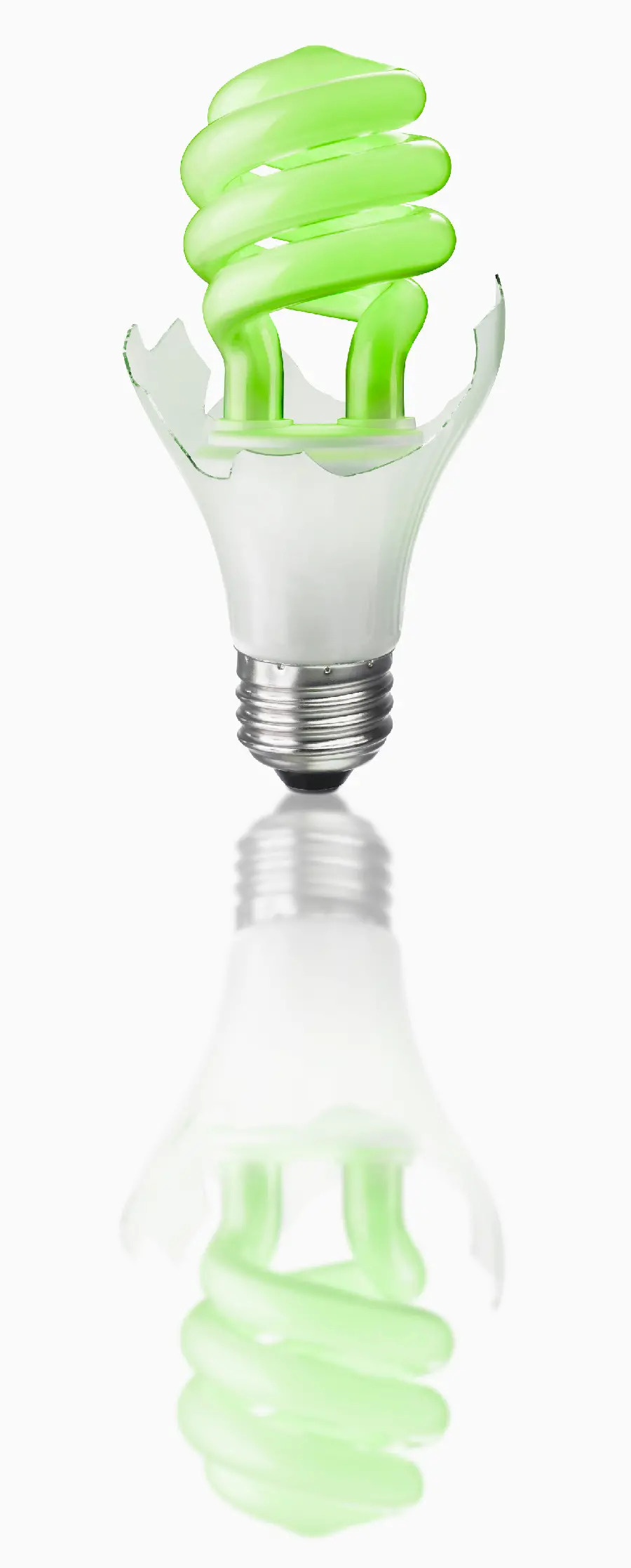 Artistic photo of high-energy vs. low-energy bulbs