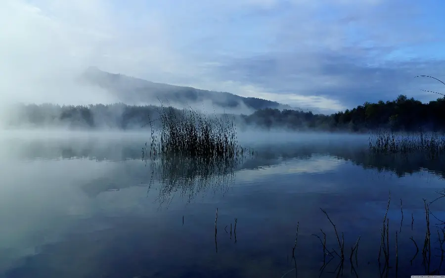 Lake landscape image with morning fog
