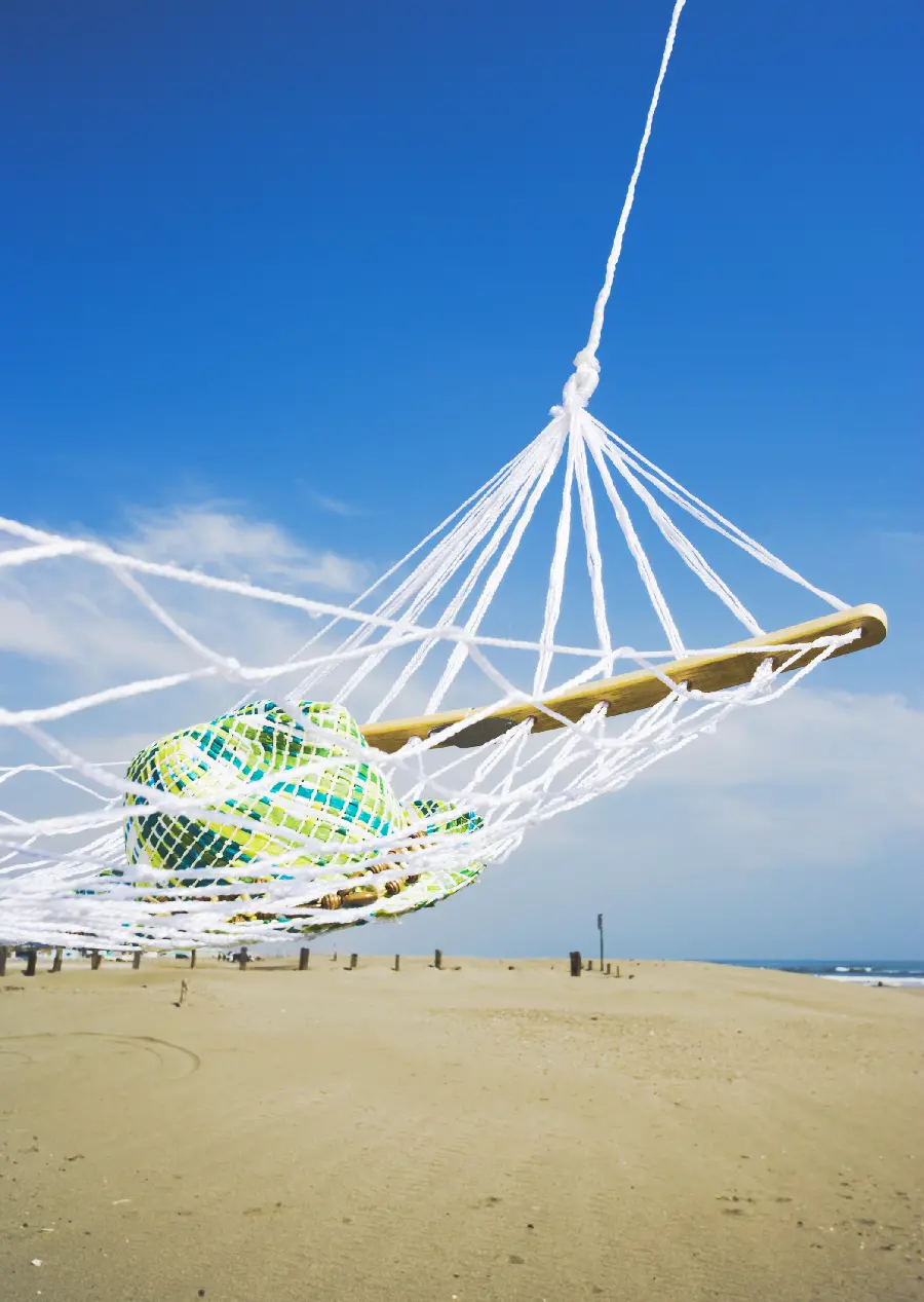 Beautiful Summer Photo with High Quality for Telegram Profile
