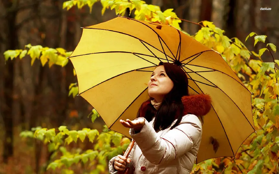 Autumn picture of a girl with a yellow umbrella under the rain profile photo