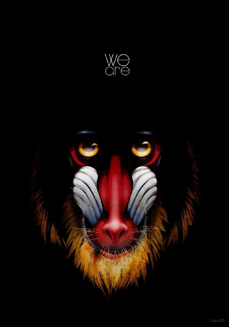 Download Graphic Photo of King Baboon