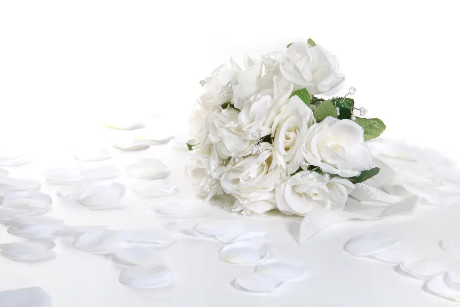 Simple and Stylish Background