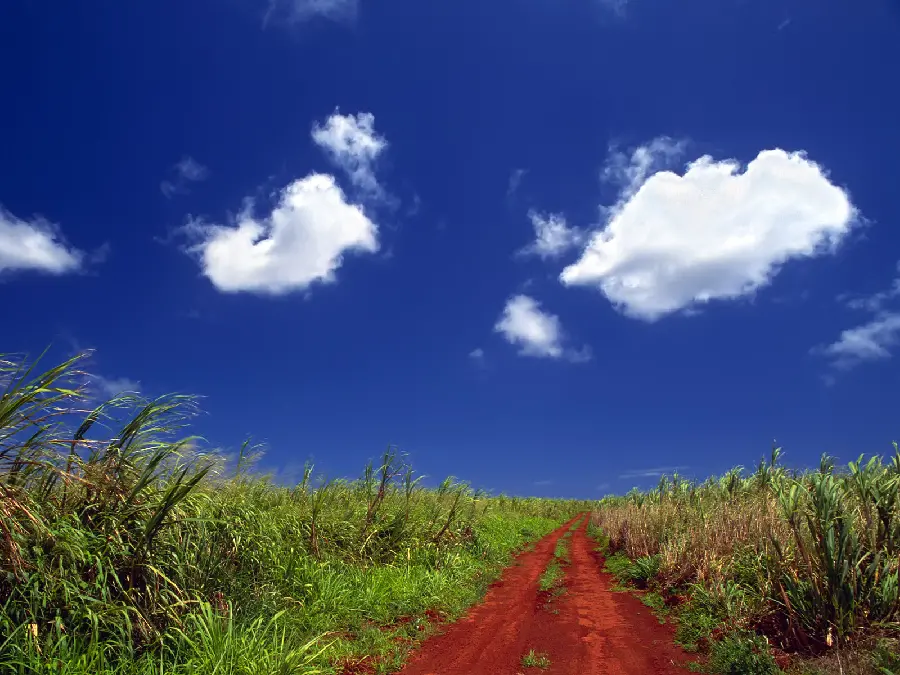 Step on the dream roads