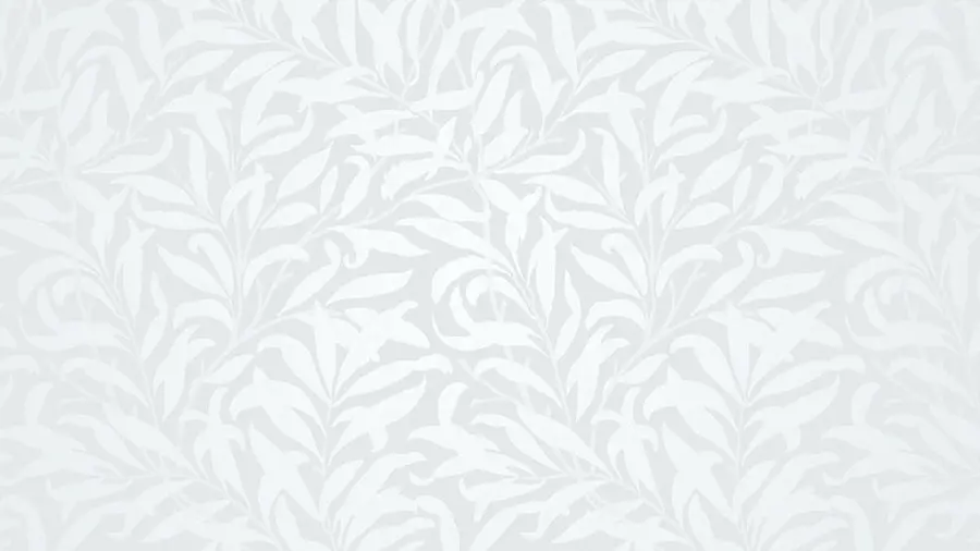 White background for Photoshop