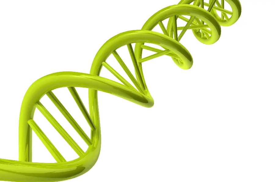 High Quality DNA Molecular String Photo