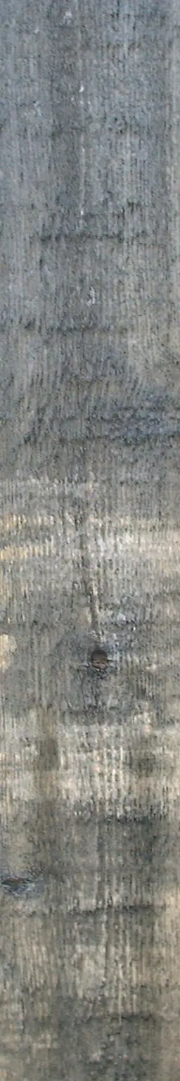 Wooden Plank