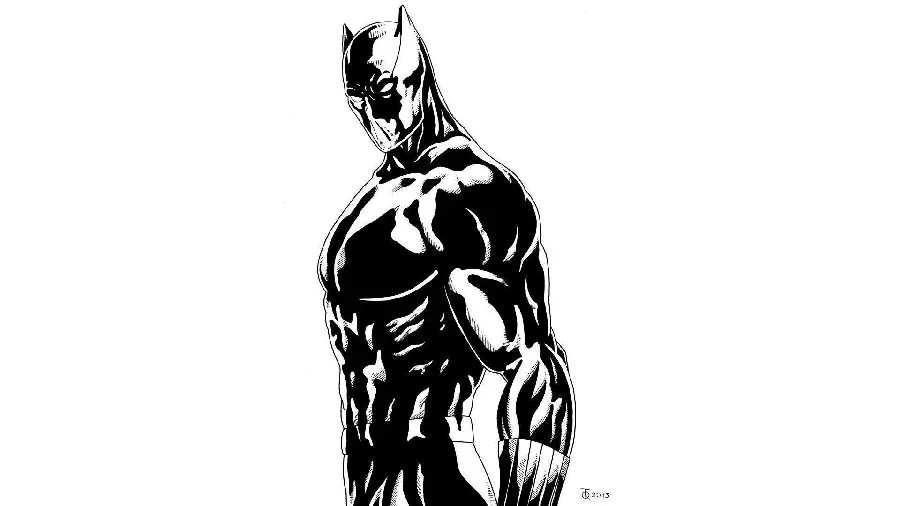 Black and white one-color photo of Marvel's Black Panther