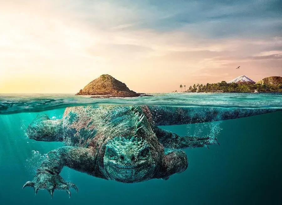 Surreal Underwater