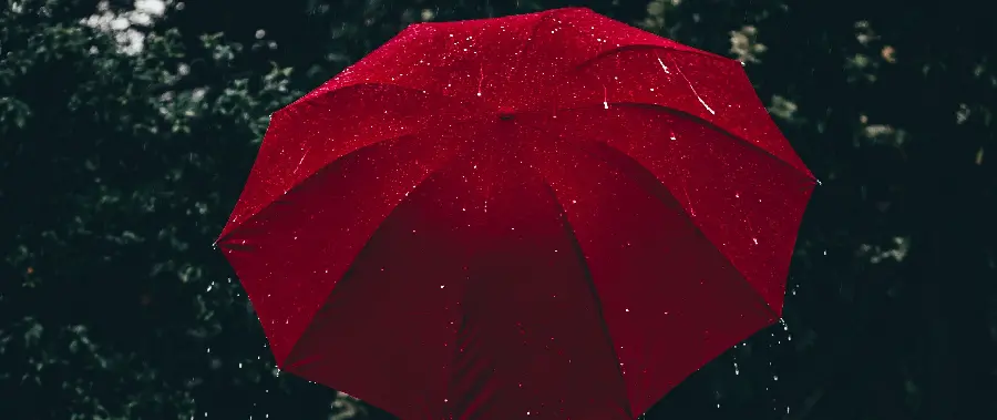 Girl umbrella