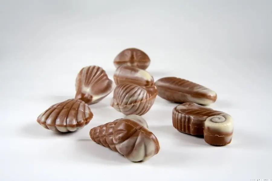  High quality photo of various types of cocoa chocolate for design and printing