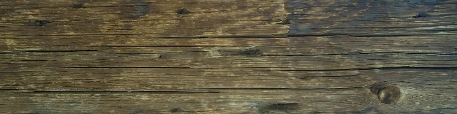 Wood lumber