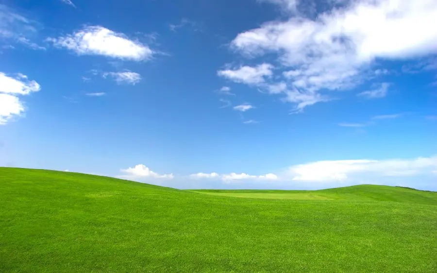 Windows XP