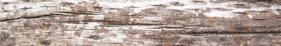 Wooden timber