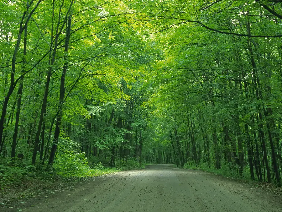 Road Background Photo