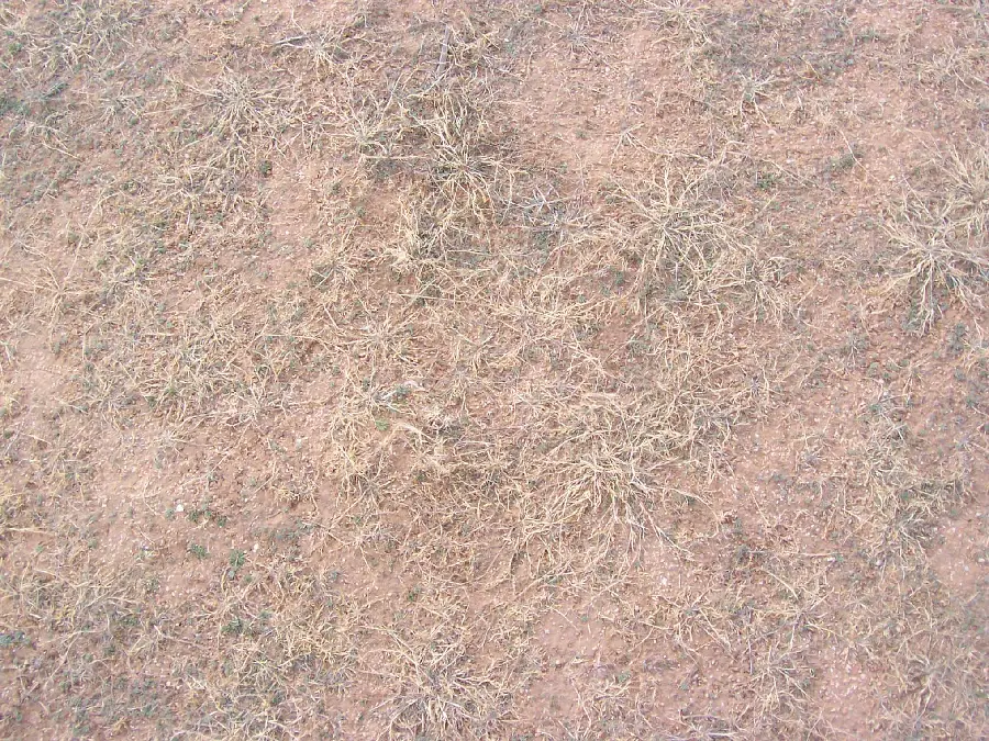 Earth material and natural features