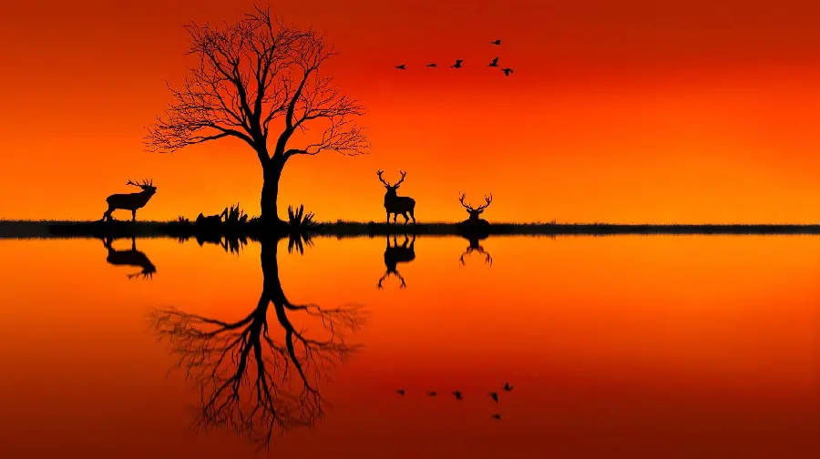 Wild deer painting on red background of sun by tree