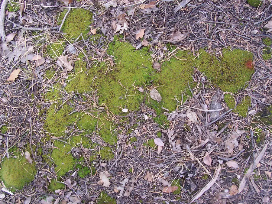 Earth material and natural features