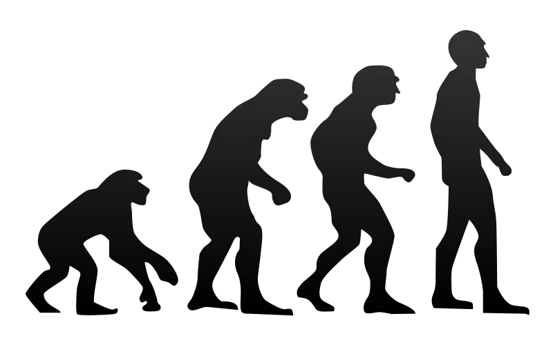 Human evolution png image from monkey or chimpanzee in high quality graphic