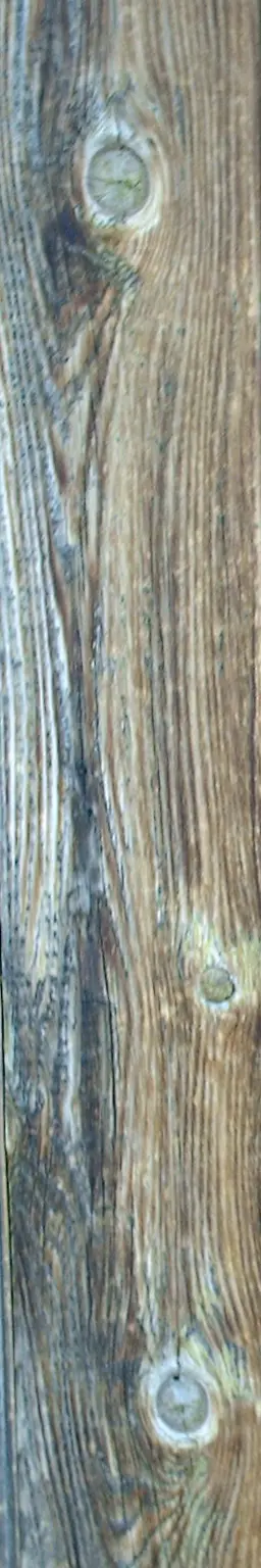 Wooden Plank