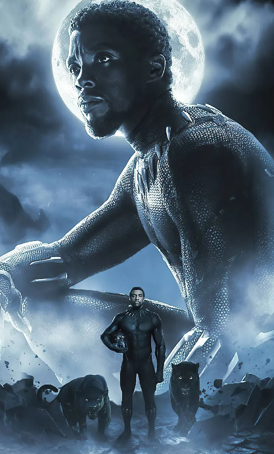 Black Panther King Background