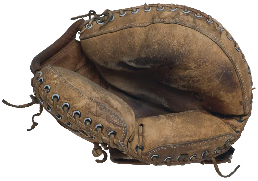 Cricket and baseball glove photo
