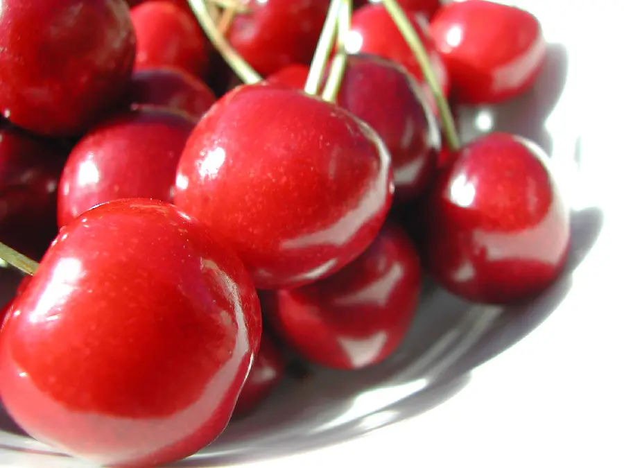 Photo of red and romantic cherries