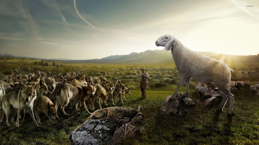 Sheep Talking to a Flock of Wolves Funny Profile Picture