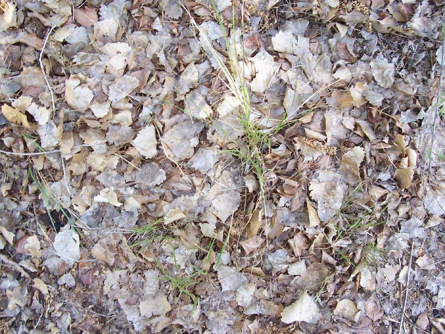 Land Material and Natural Features