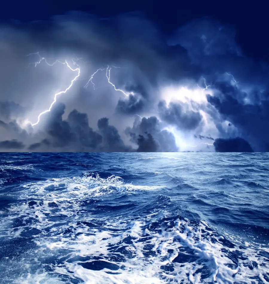 Special photo of beautiful and dreamy nature