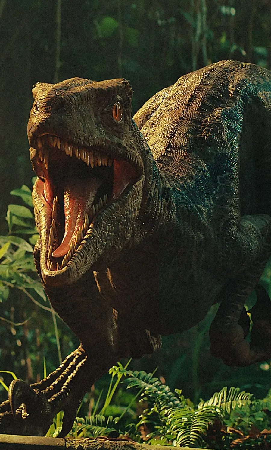Iphone Samsung Dinosaur Mobile Wallpaper