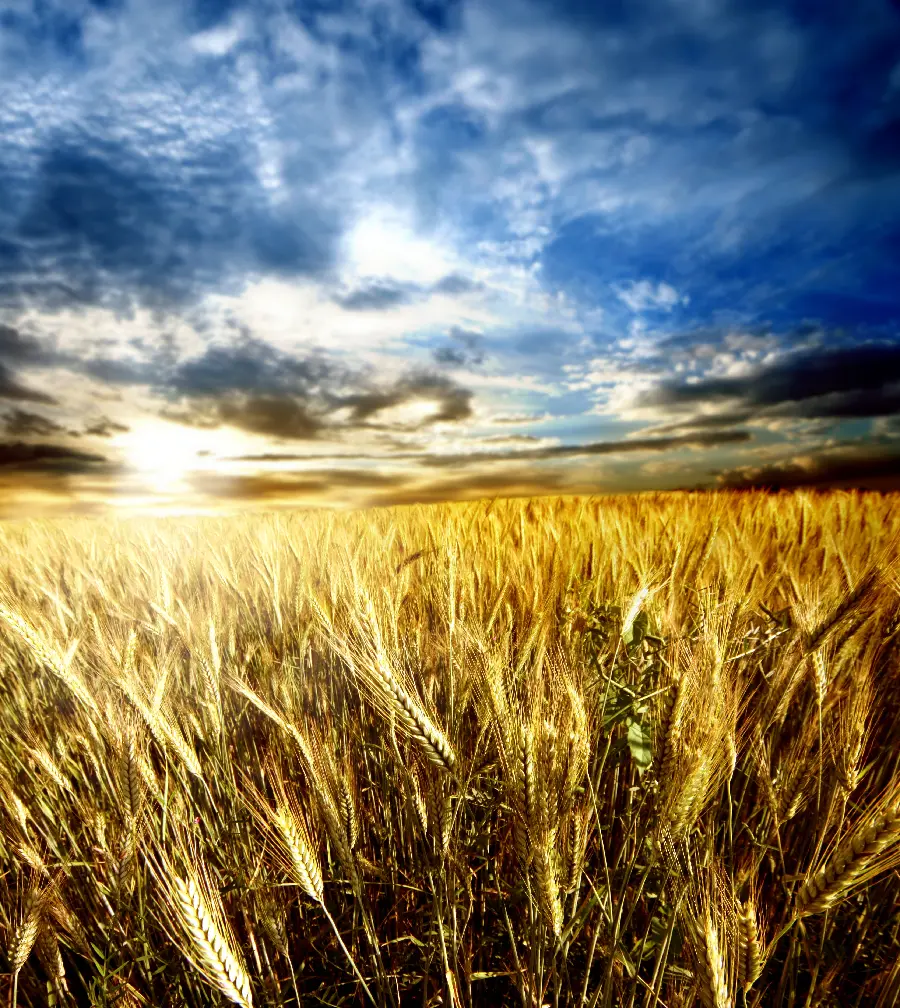 Beautiful scenery and wonderful and eye-catching photos of nature