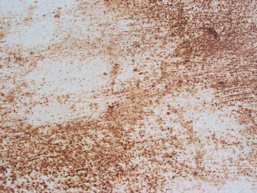 Metals and Rusted Metals Materials