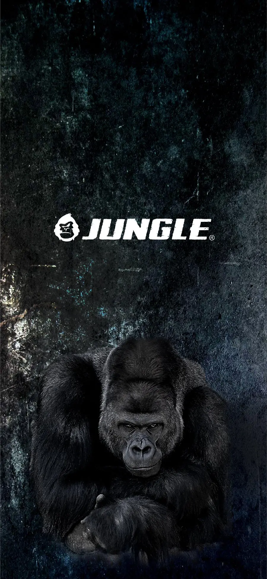 Download silverback gorilla wallpaper photo phone wallpaper