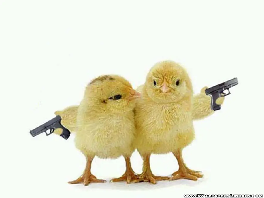 Funny Crazy Revolver Chicks Profile Photo