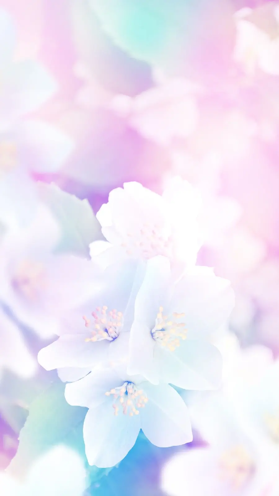 Download Spring Pastel Flower Wallpaper