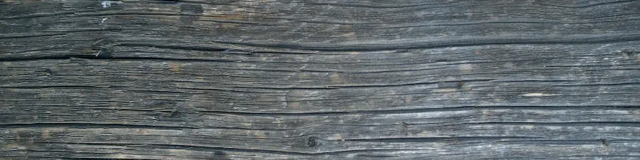 High Quality Wood Timber Texture Free