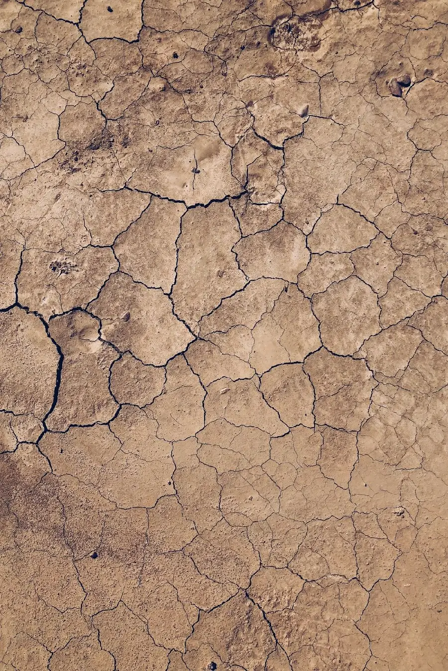 Soil texture texture