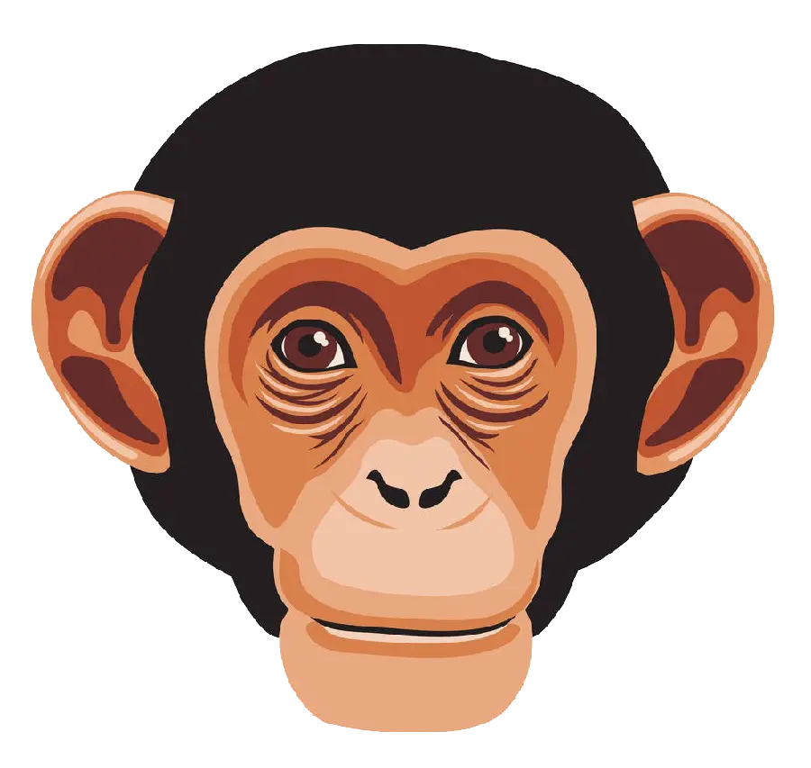 High Quality Chimpanzee Face Painting