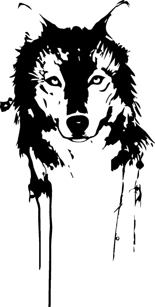 High Quality Black White Wolf Drawing Background PNG