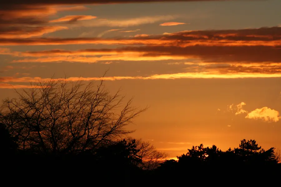 Nature photo for profile