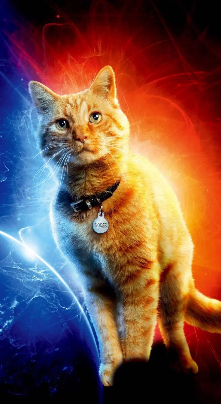 Captain Marvel Goose