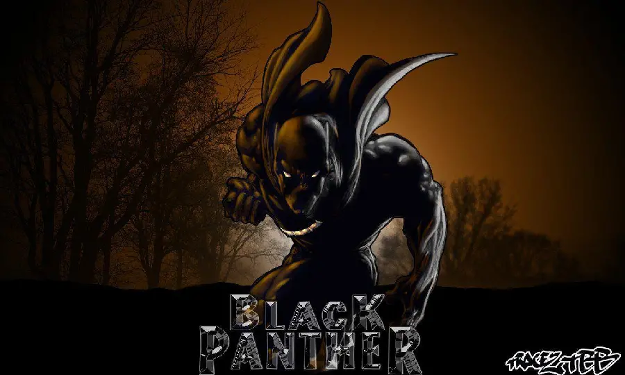 Marvel's Black Panther