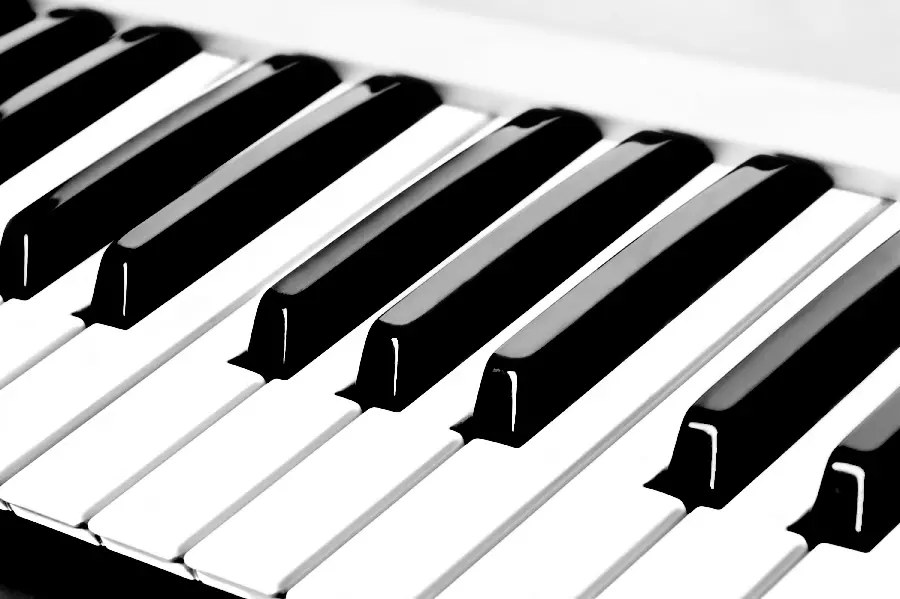 Piano Profile Photo