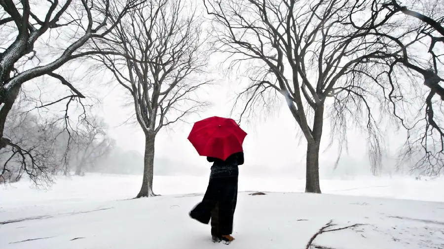 Girl photo with a red chat in the snow, forest and trees