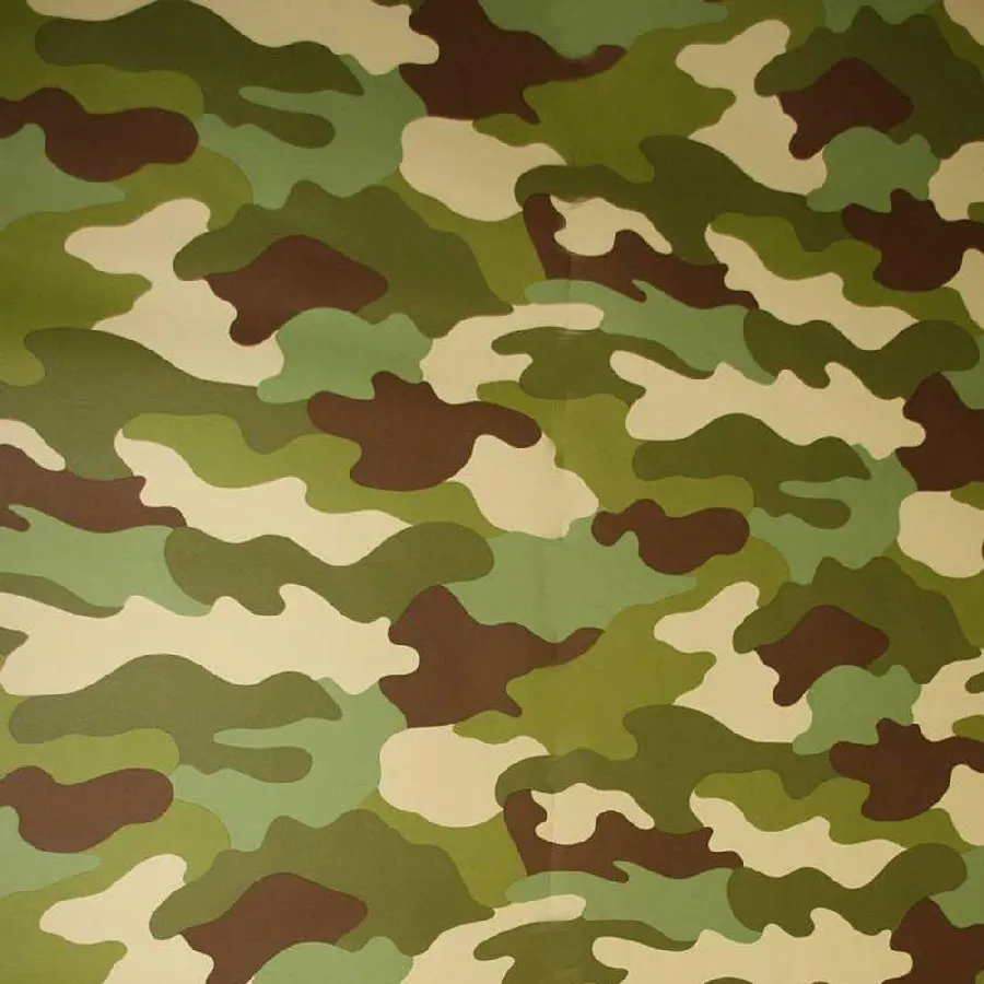 High Quality Military Camouflage Texture Photo