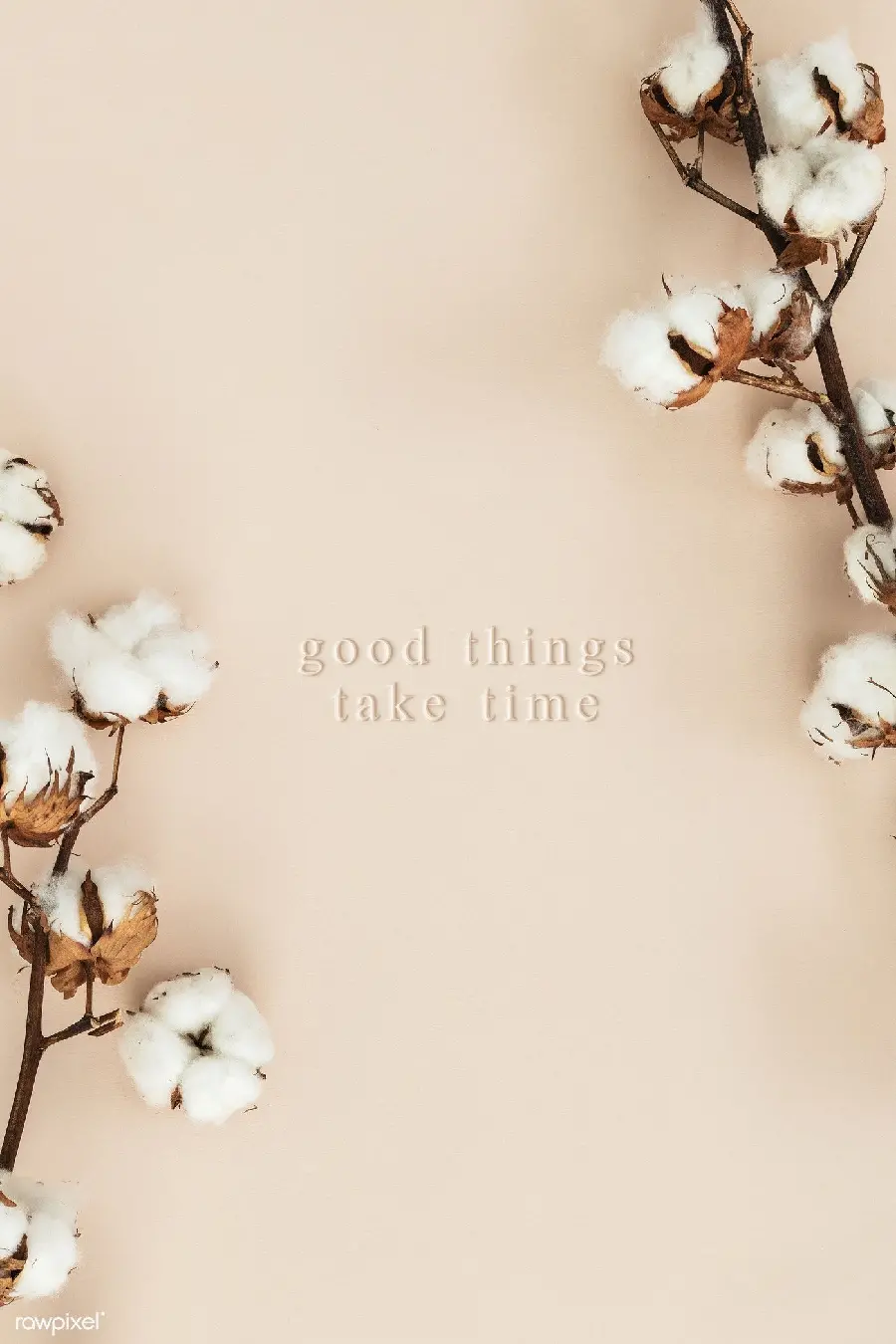Download background for writing text with cotton flower