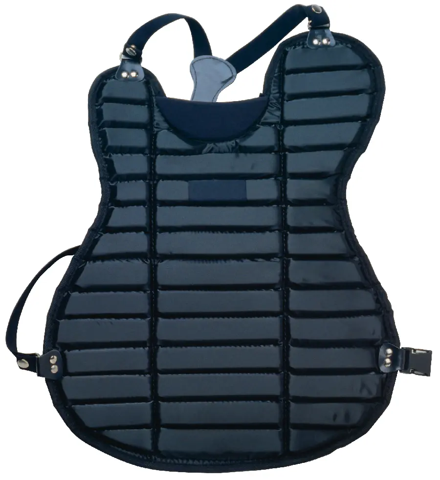 Martial arts vest and equipment photo